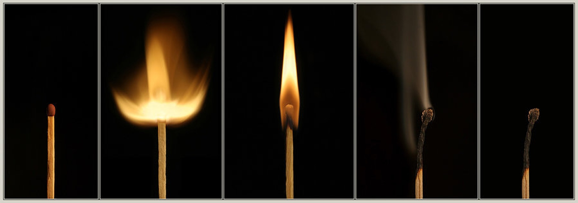 Life by