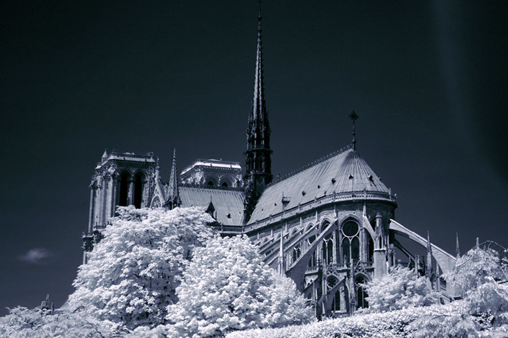 Notre Dame by