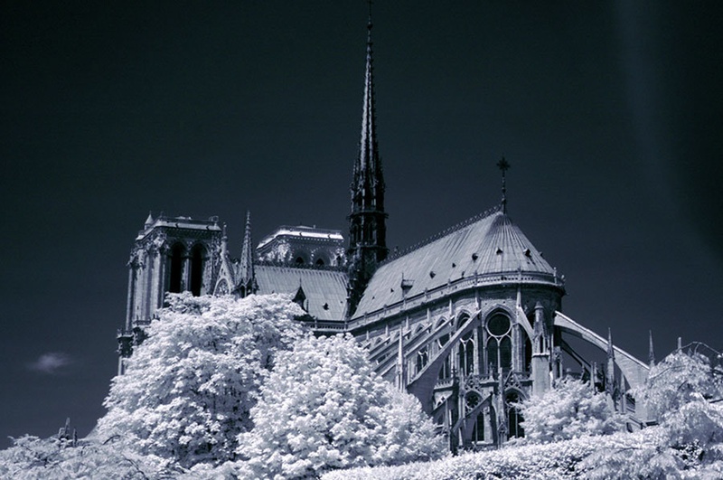 Notre Dame by by_tom