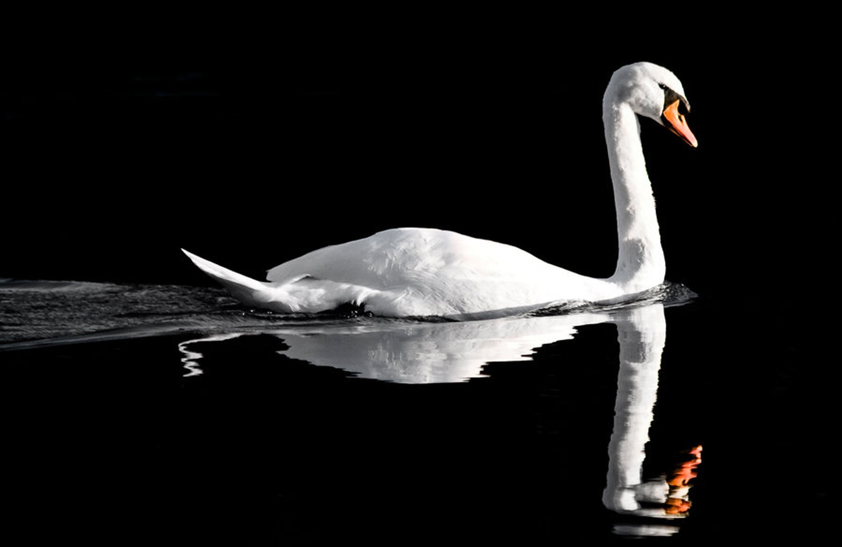 Elegantno by Juš Medič