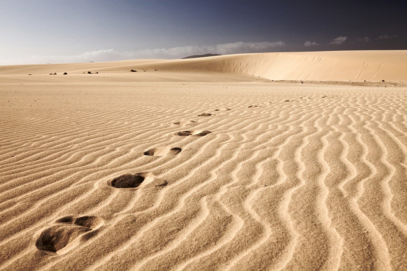 Footsteps by Juš Medič