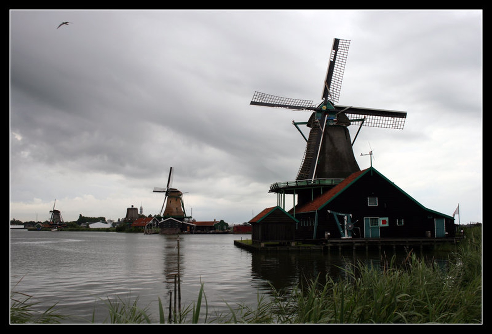 Mlini na veter - Zaanse Schans by