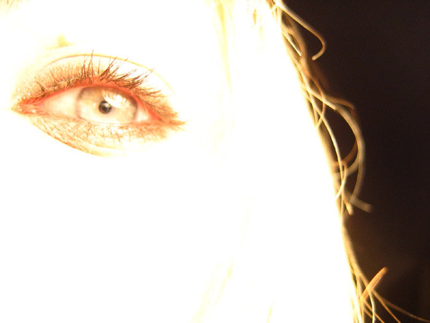 avtoporte_t by