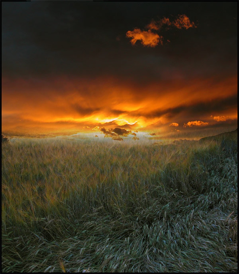 zahod by