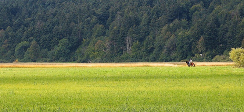 JutranjaJeža by dodd