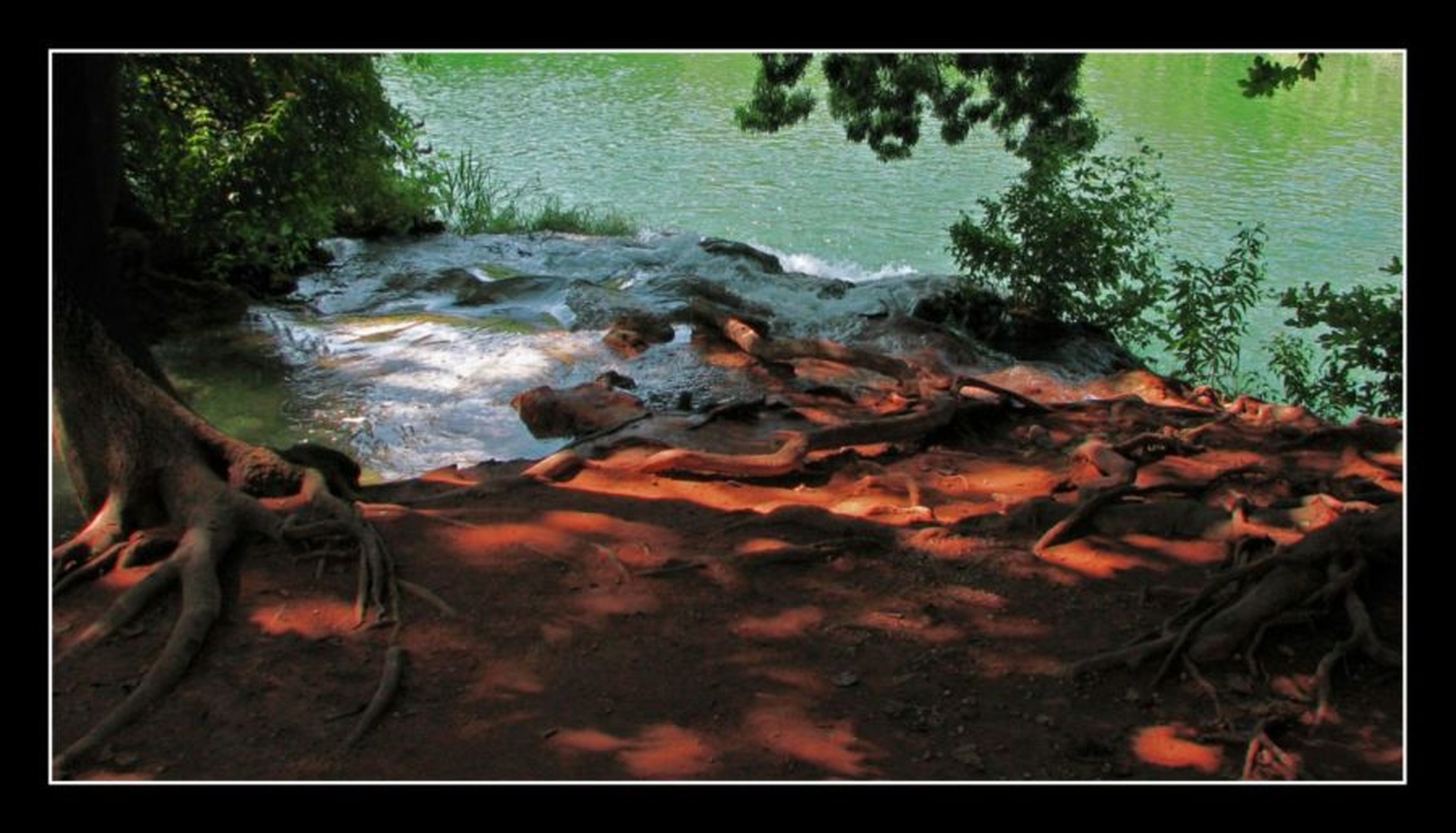 IMPRESSO by