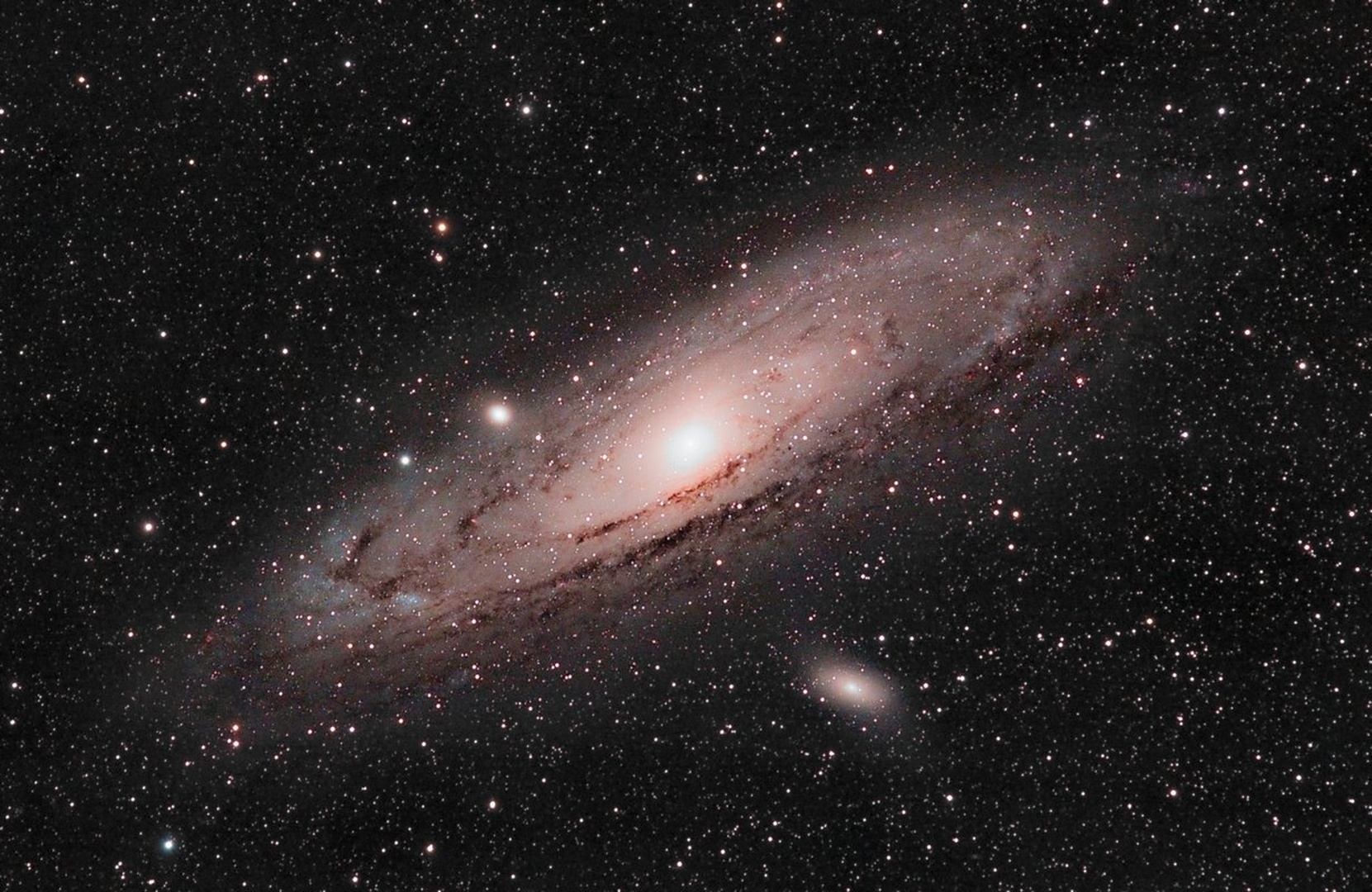 Andromeda by Peter Komatović