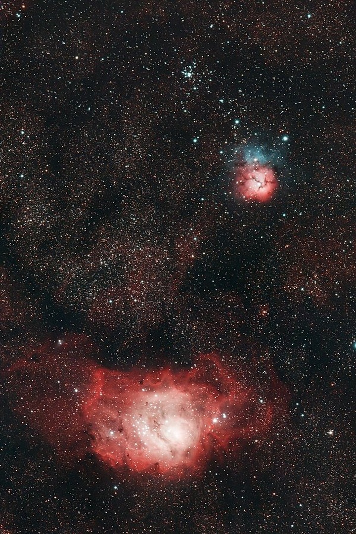 Laguna in Trifid by Peter Komatović