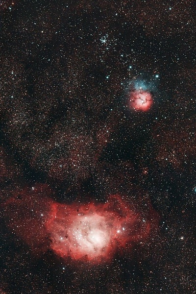 Laguna in Trifid by Peter Komatović