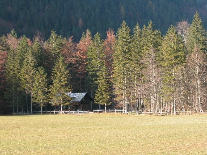 jesen v Logarski dolini by Matej Simončič