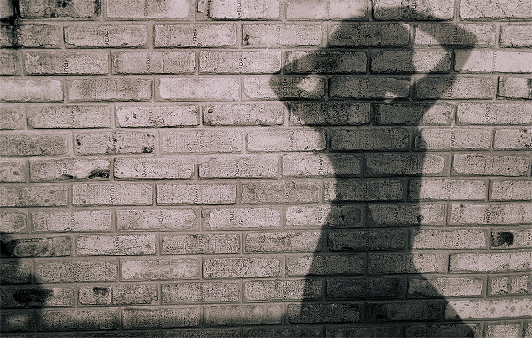 She in my thoughts by Dragan Zlatanovic