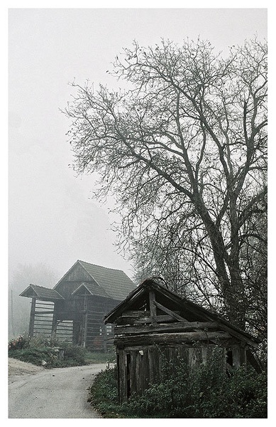 The Forgotten by Mika