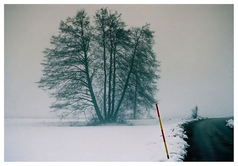 Melancholy Of Nature by Mika