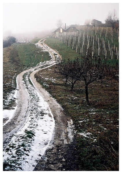Down The Road by Mika