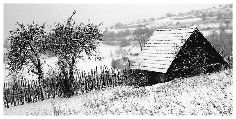Winter Solitude by Mika