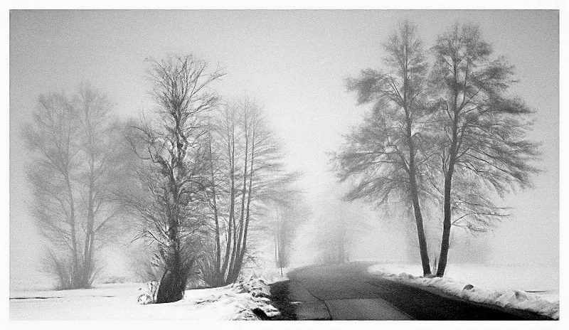 Shadows by Mika