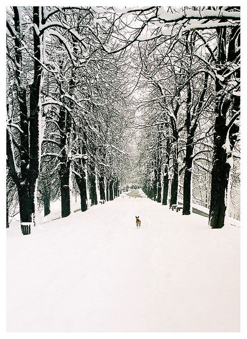 Run Away by Mika