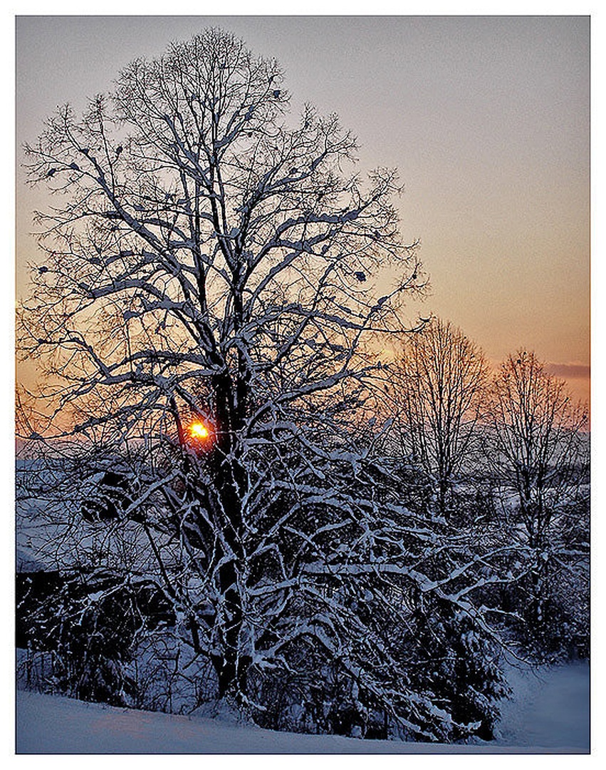 Winter Sunset by Mika