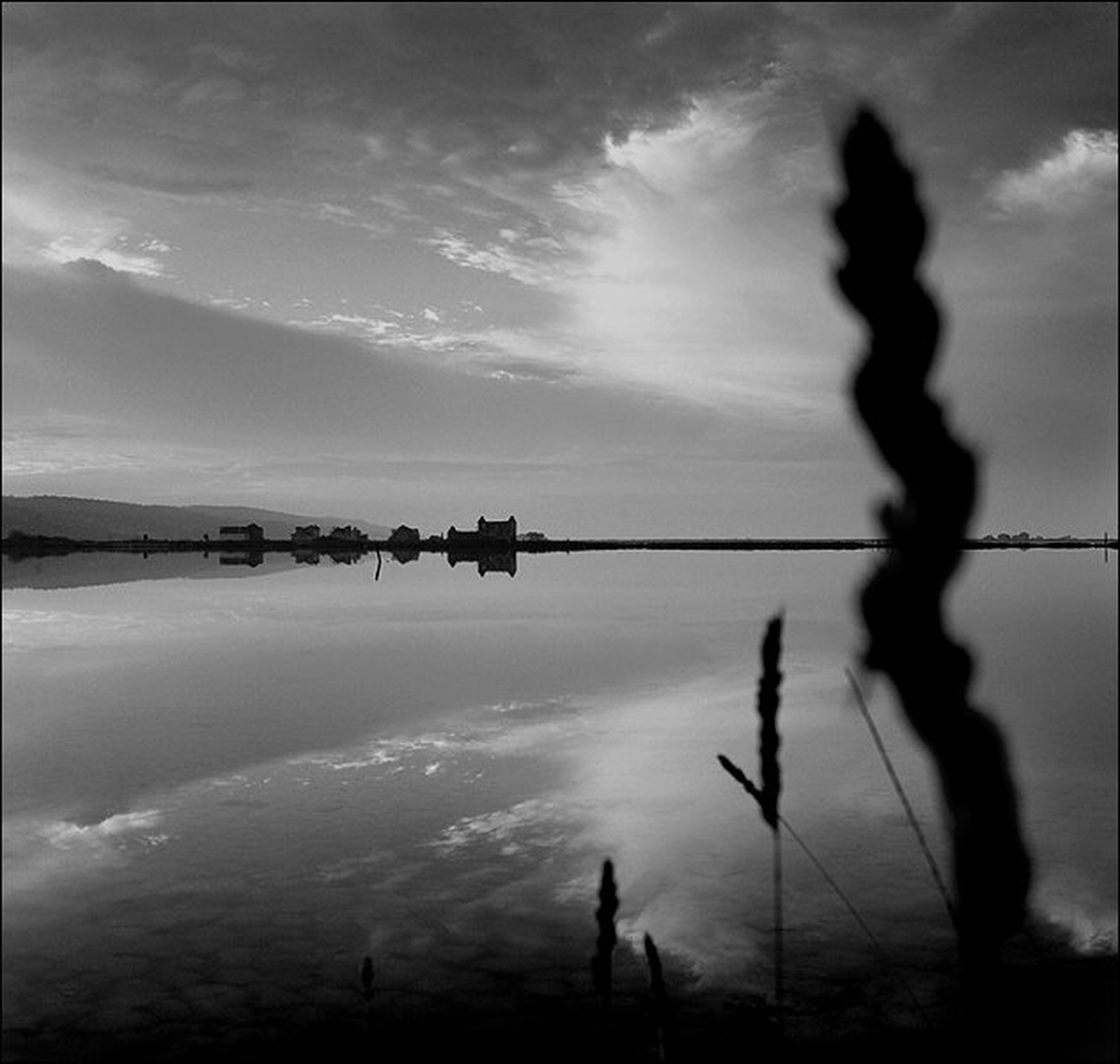 Ogledalo s travo by