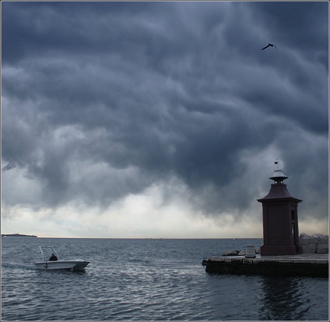 Domov by