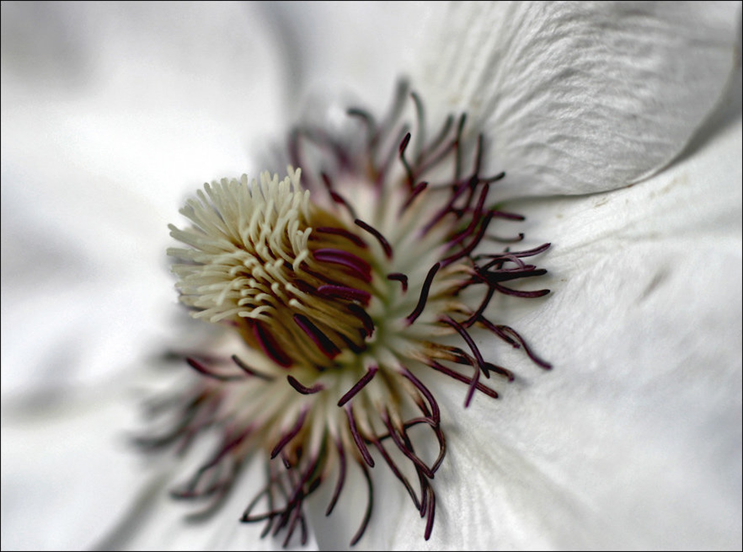 Migetalke by