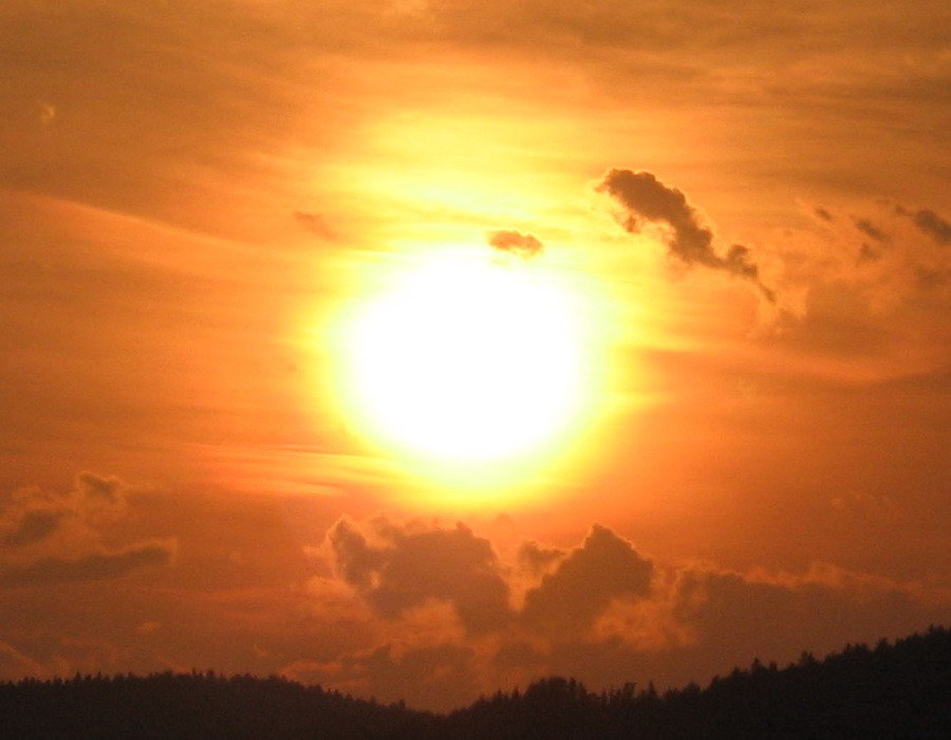 sonce by