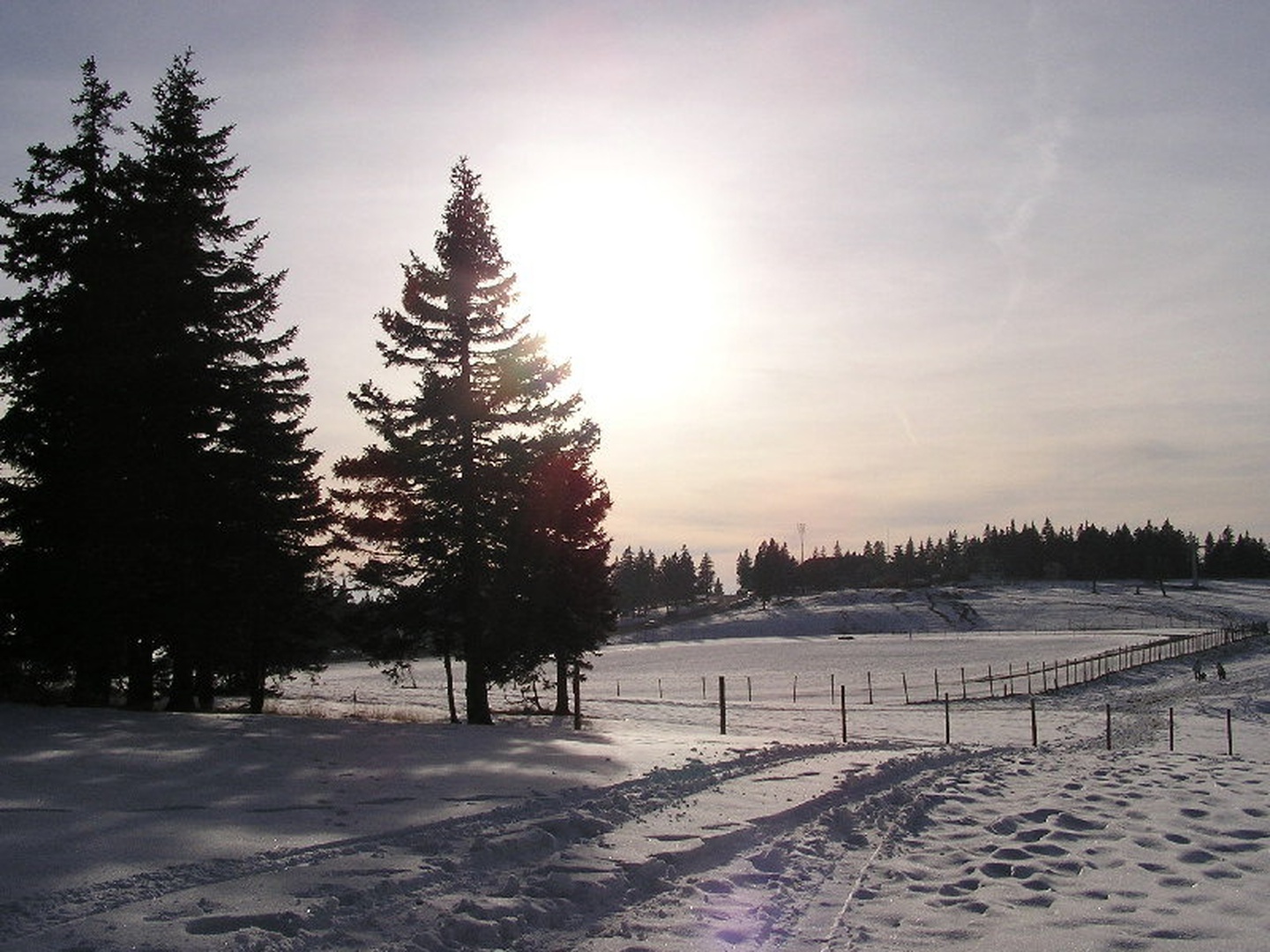 Rogla by