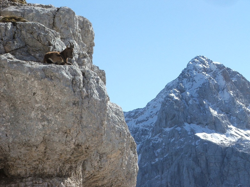 Pogled na Triglav by blur