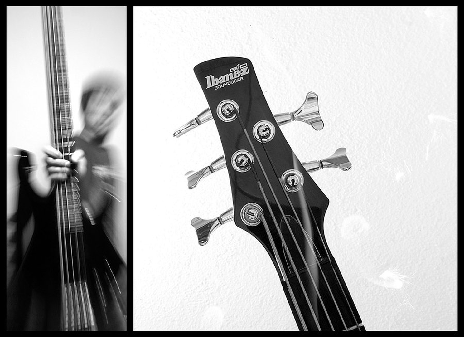 "Ibanez Portret" by Primož ŽGAVEC