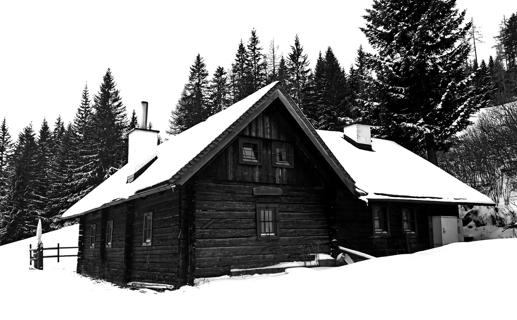 kočica by