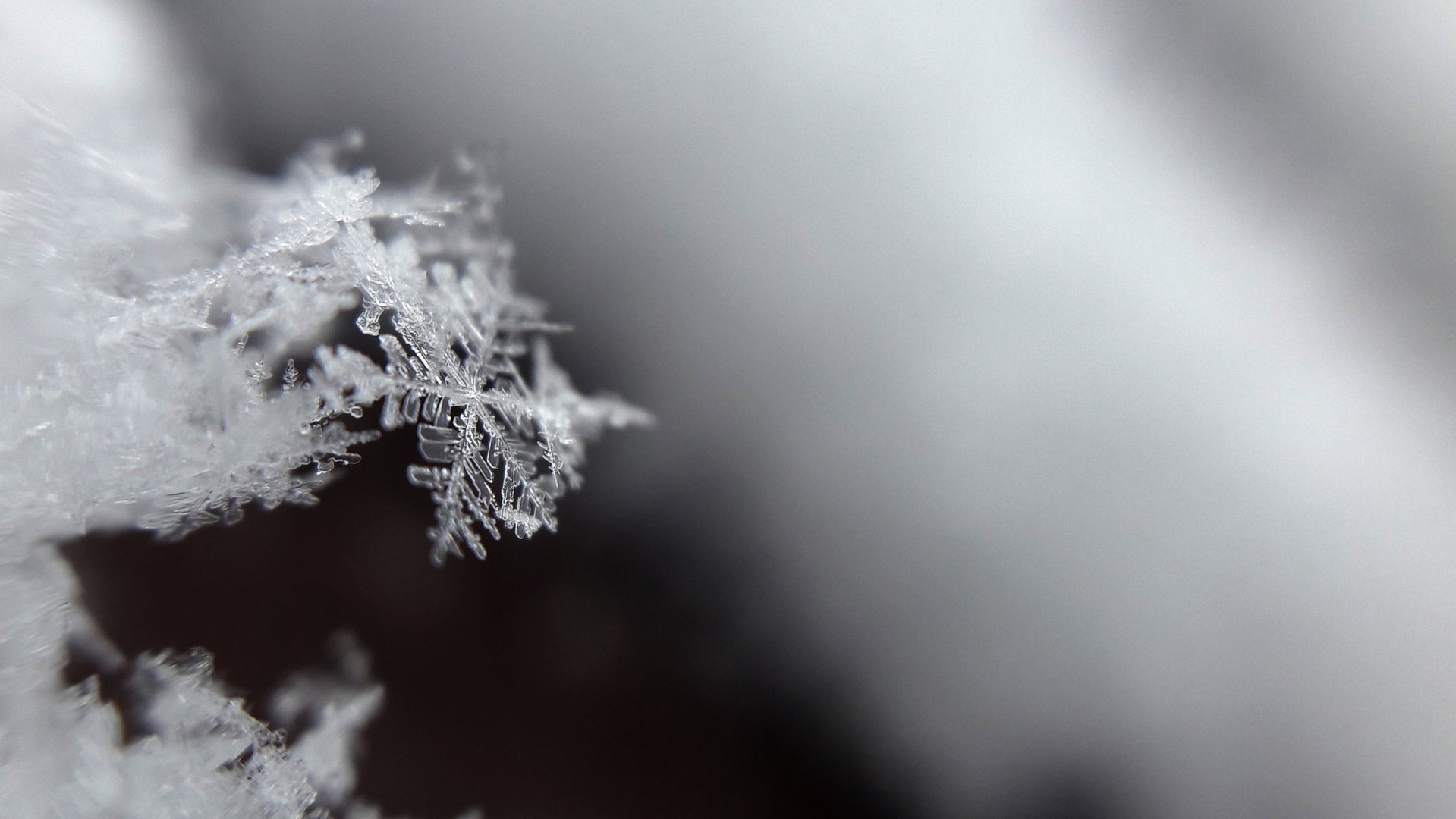 snowflake by