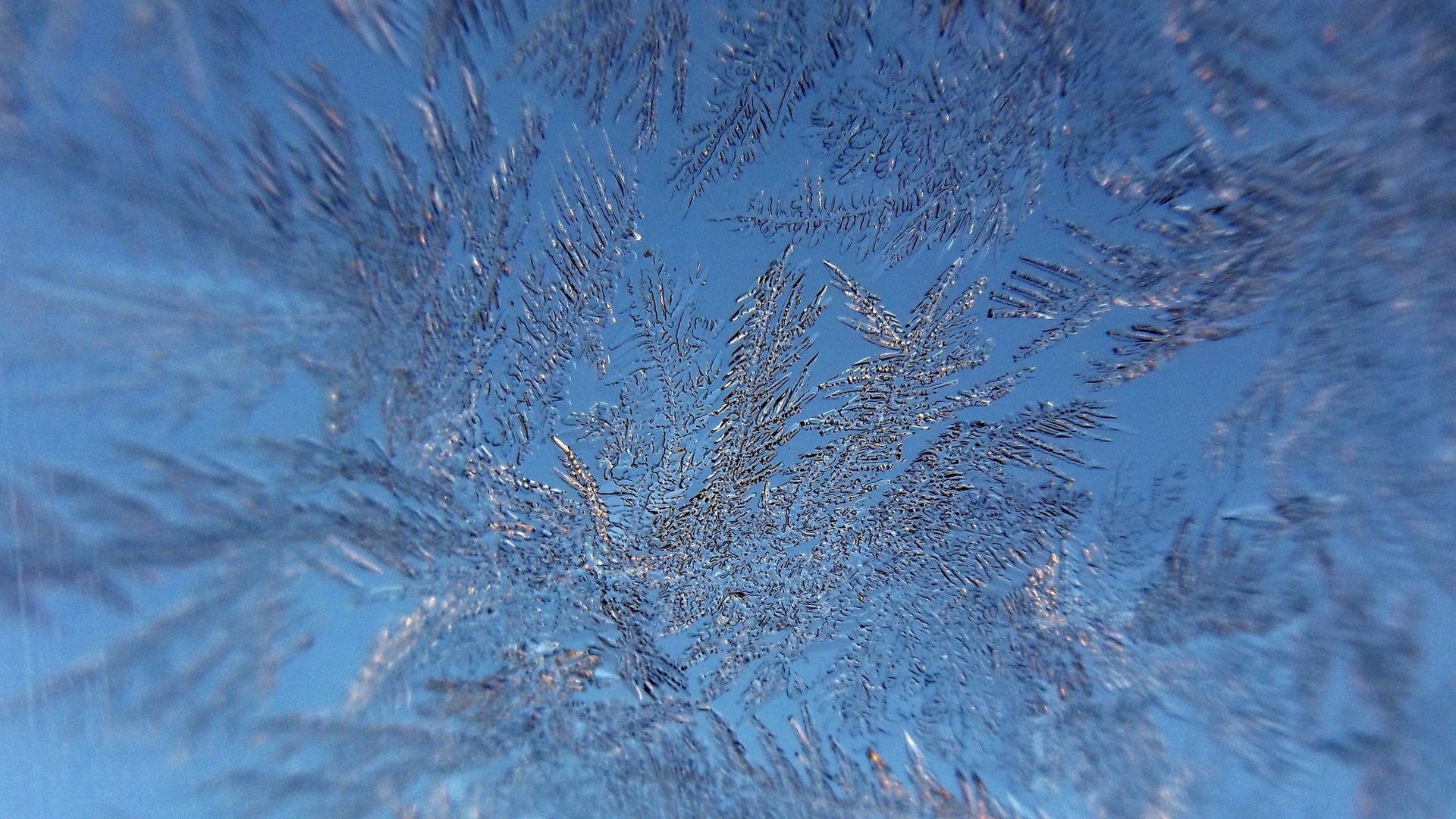 frozen sky by