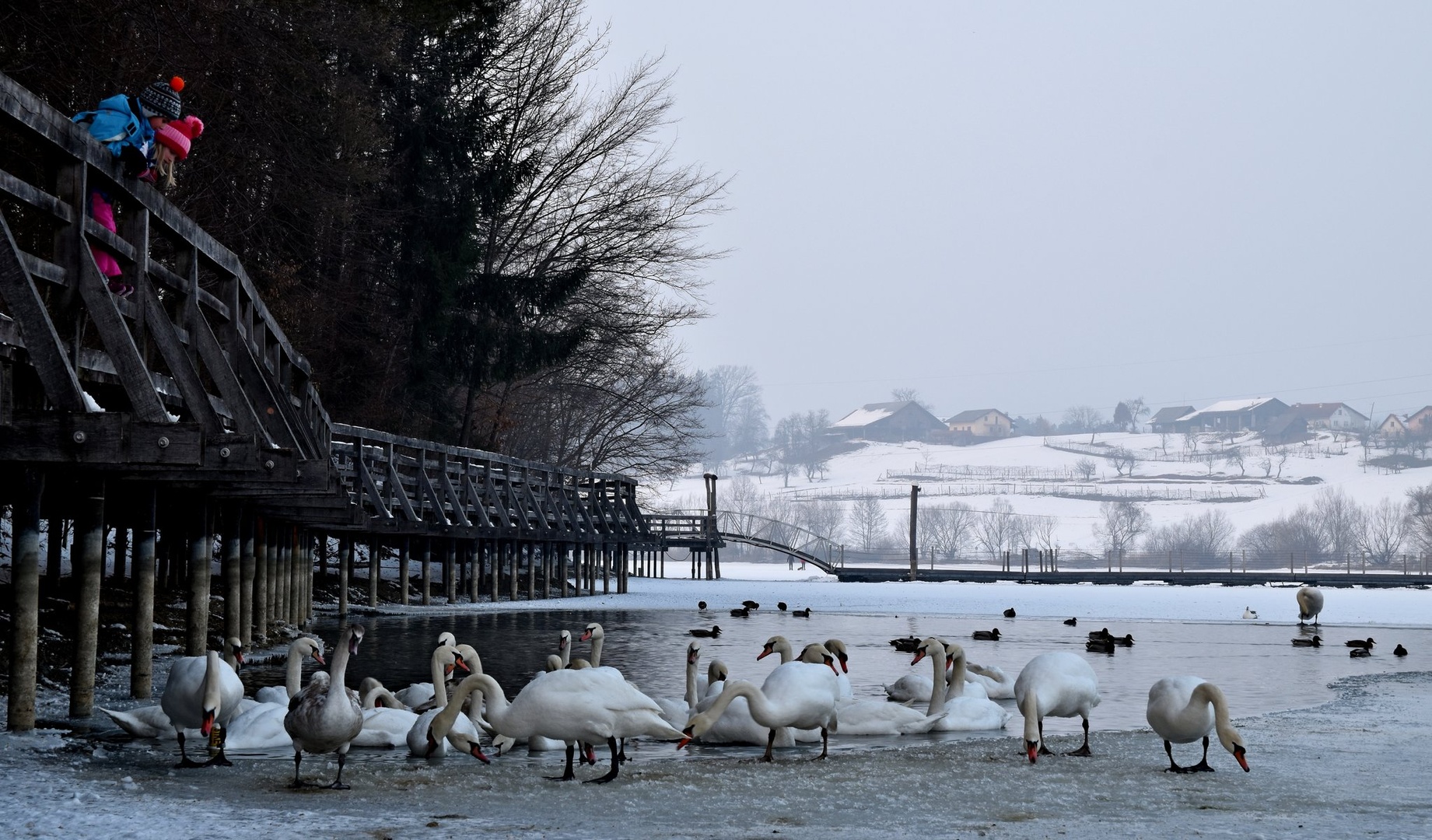 labodje jezero by