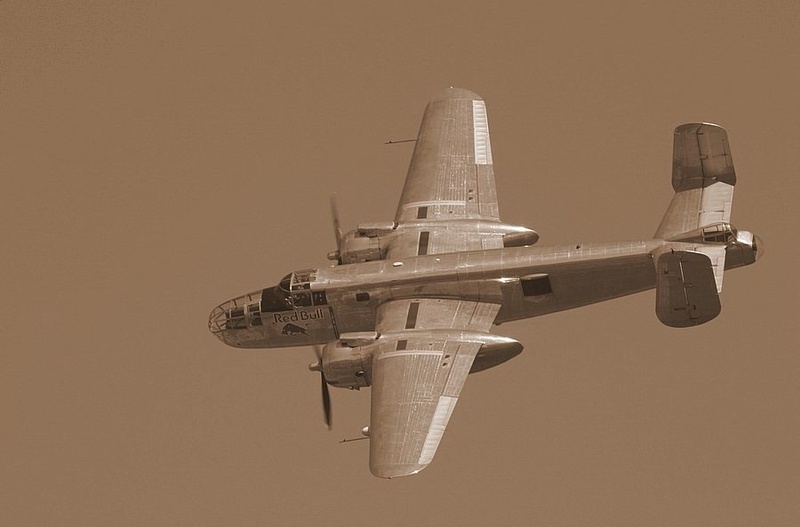 Flying sepia by Silvo Privšek