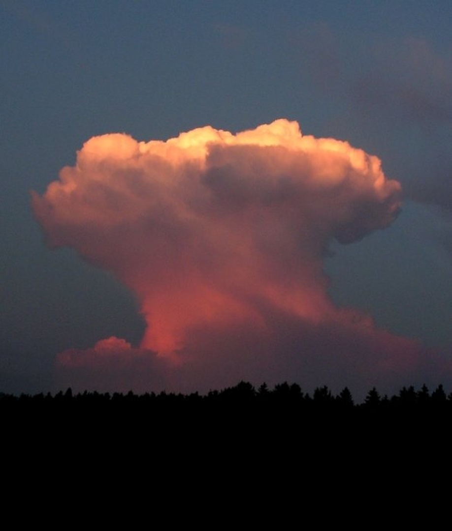 Atomska goba by
