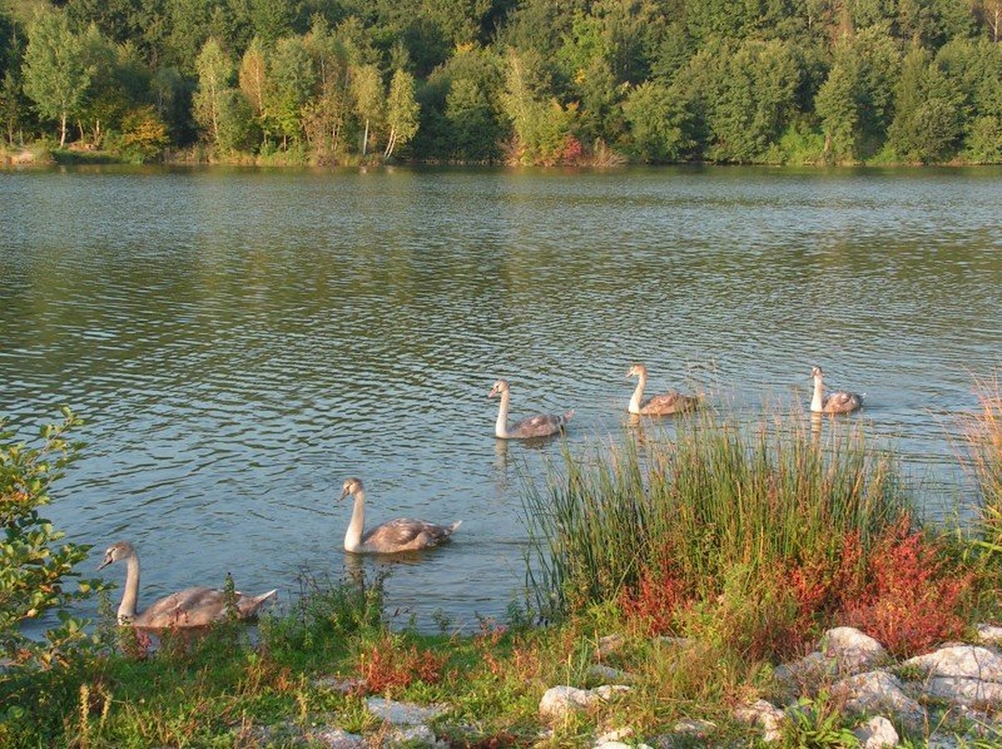 jezero I by