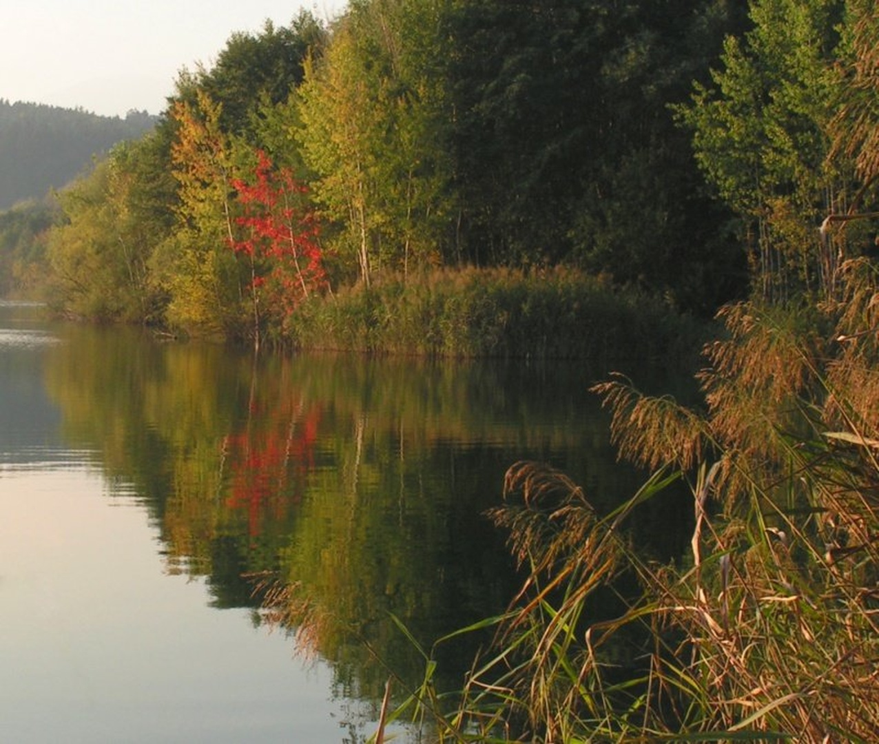 jezero II by