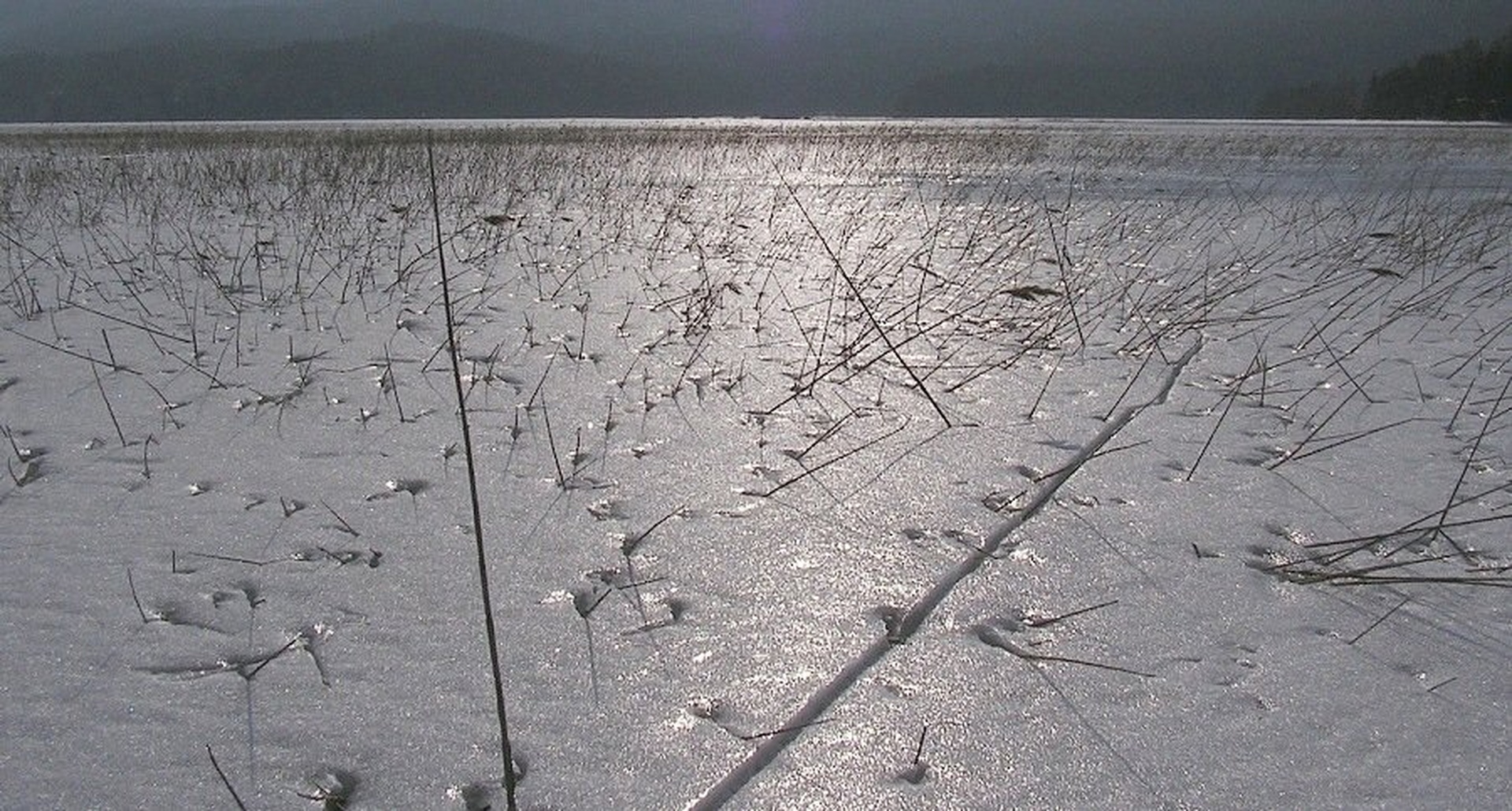 Jezero v februarju by