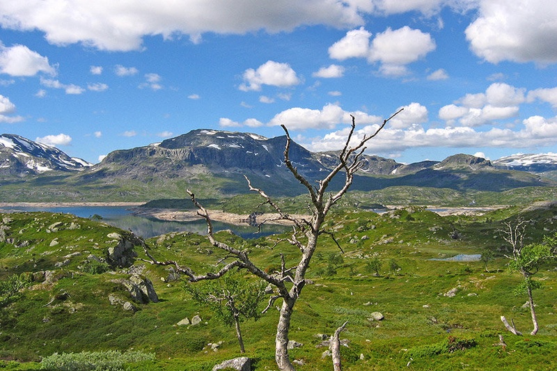 Telemark by Uroš K.
