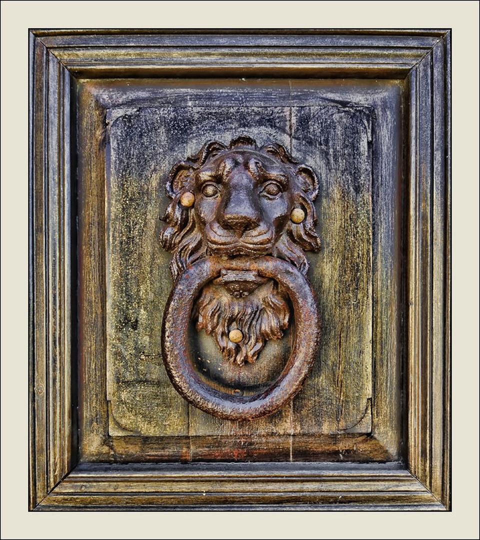 Čuvaj doma by Dejan Marko