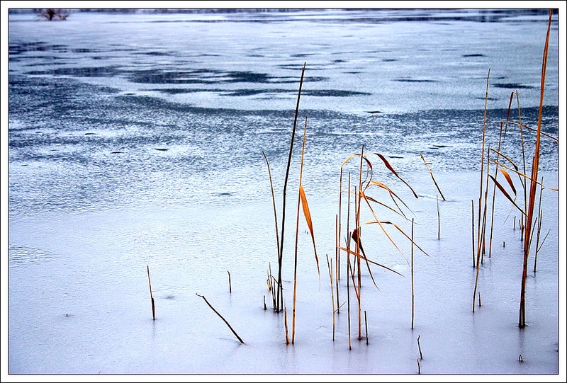 zaledenelo jezero by Wini Winian
