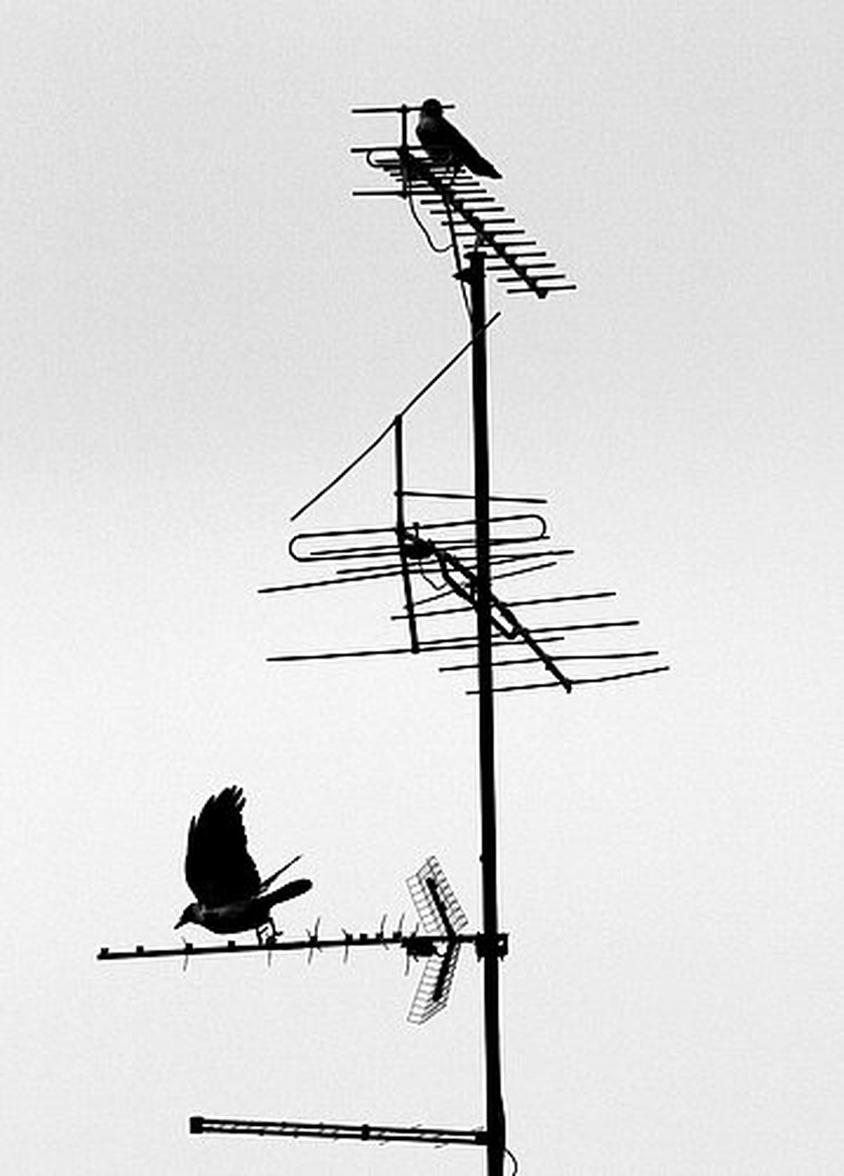 Airport by Grega