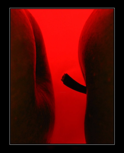 Sa(n)ftig! by Miha M