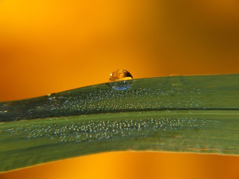 The last drop by mitja krajnc