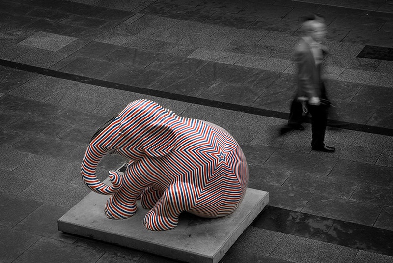 Warning! Elephant in way by jari