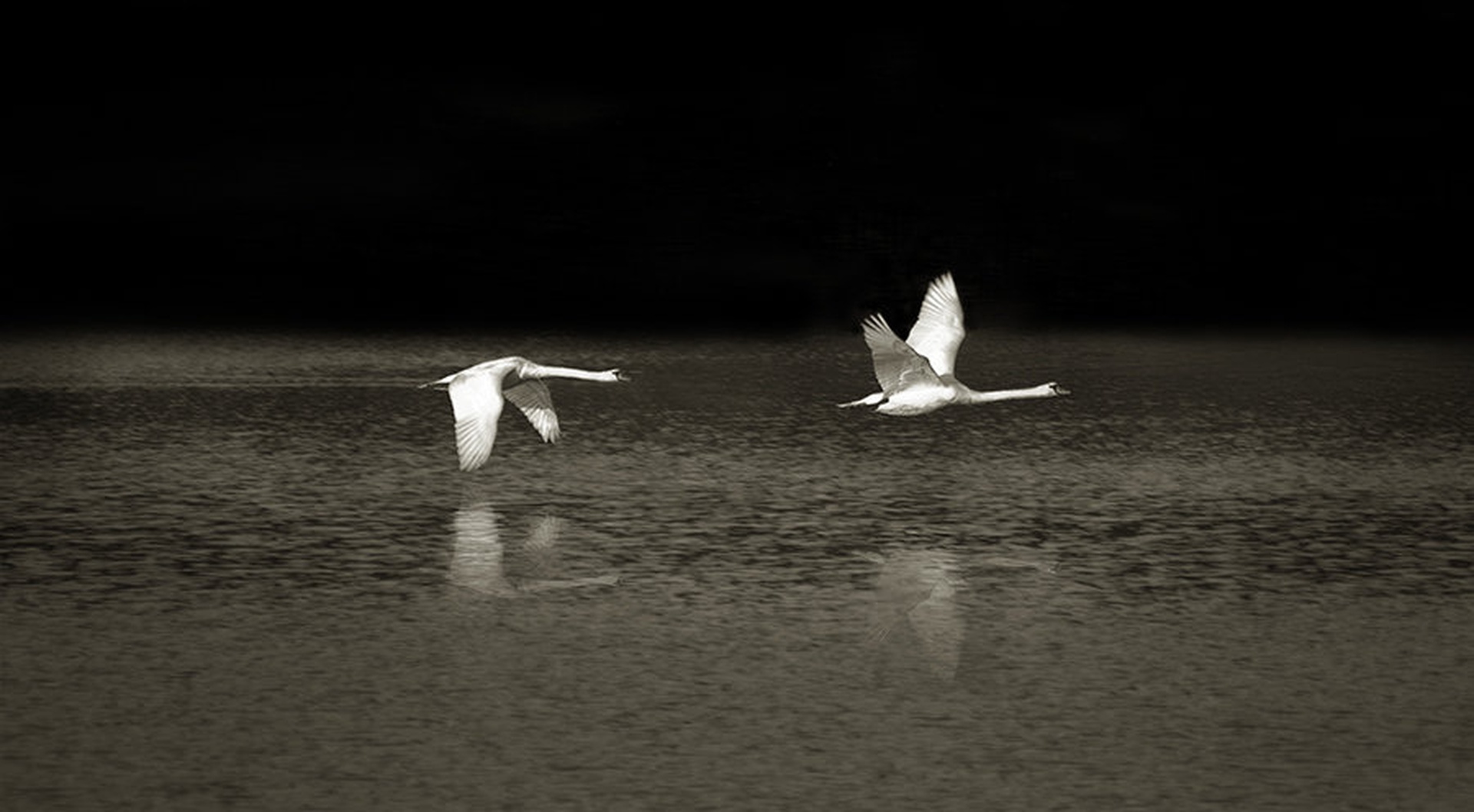 low overflight by