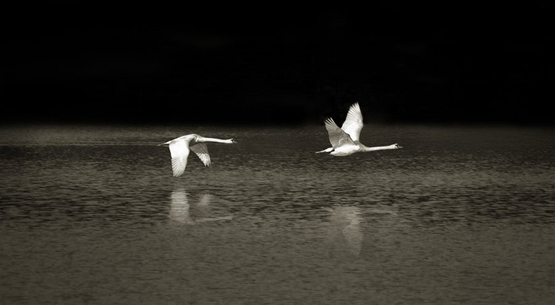 low overflight by jari