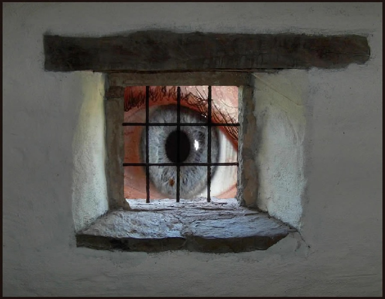 Pogled by Freddy