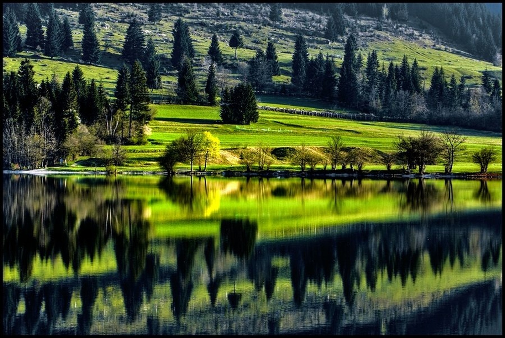 Zelena simetrija by
