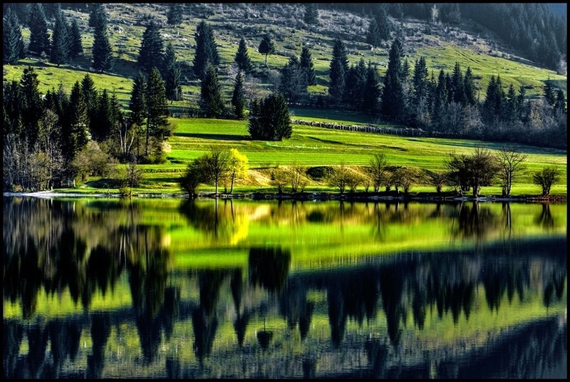 Zelena simetrija by kookie
